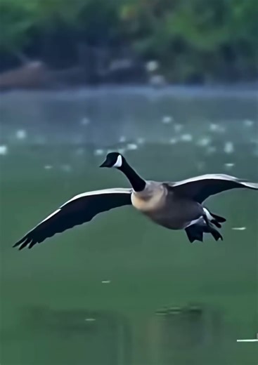 Rate my landing 💪