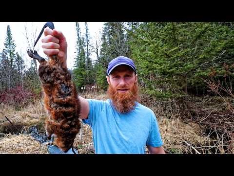 The Muskrat: A Sustainable, Delicious Wilderness Food Source