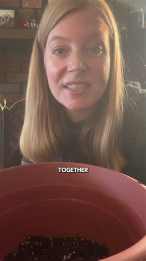 How To Grow Paperwhites Indoors (Beginner Friendly)