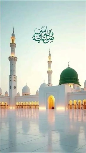 #love আপনার হাতে ধরি পায়ে ধরি গো নবী আপনি আমার জন্য আপনার জুব্বা মোবারক দিবেন নিকন #love