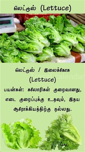 Lettuce Benefits – Various Nutrients Your Body Needs
