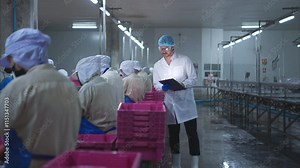 Production control supervisor inspects and controls the operation of each step in the production line of a canned fish factory