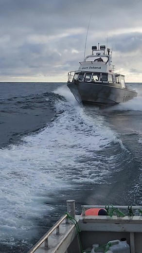 Pete Reece on TikTok