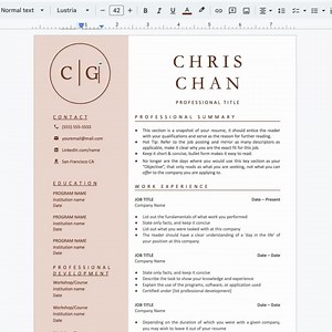 Google Docs Resume Template for Word | Best Professional Resume Template With Cover Letter, Executive Resume CV Template Google Docs,word CV - Etsy