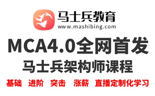 马士兵教育MCA4.0架构师课程【码士集团】