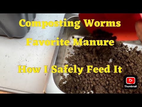 How to use manure without killing your worms