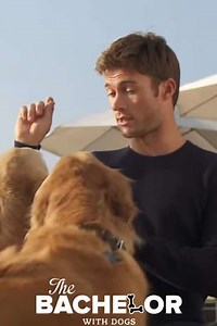 The Bachelor with Dogs and Scott Eastwood (2015) - Movie