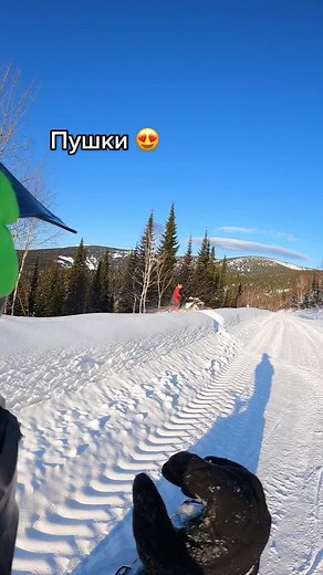 Snowmobiling Adventure in a Stunning Winter Landscape