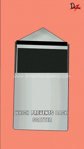 What's inside an X-Ray Film Packet? #drteeth #xray