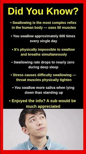 Things That Happen Every Time You Swallow 🫁😲