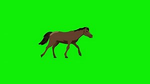 2d animated horse walking frame by frame 4k green screen