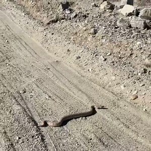 Palm Springs Coachella Valley Video! - by SoCal Burt | Coachella Valley