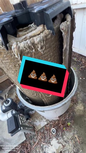 Cleanup After Pool Accidents: A Fun Day in the Life