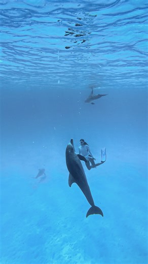 MILA🧜🏾‍♀️🐬 dancing with dolphins | Going crazy with this dolphin dance… love my underwater life 🌊🐬 Ethical 🐬 with @mermaid.experience 💙 | Instagram