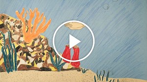 CreatureCast: Cuttlefish Camouflage