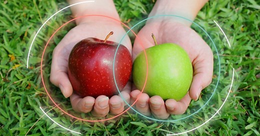 Elasticsearch shards & replicas - Elasticsearch Labs