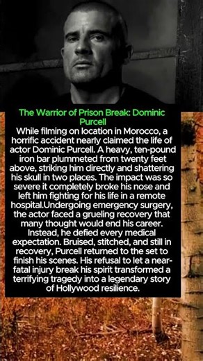 The Warrior of Prison Break Dominic PurcellWhile