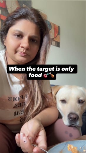 When food is the only target #funny #dog #pets