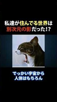 What is Reality? This World is a Geometric Structure #FractalStructure #OsamuNagashima