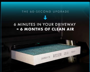 Add a nature-inspired touch to your yard with this Handmade Alpaca Fiber Bird Nesting Heart. 🥰 🏠🦜 Hang it by a bird feeder and watch as the birds happily pull the soft fiber to line their nests, making this heart a perfect addition to your outdoor space. 💕 | PureFlow Air