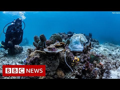 Philippines reef littered with face masks - BBC News