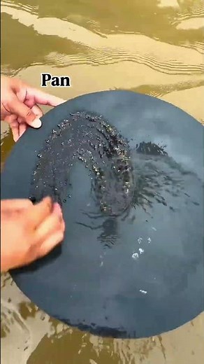 Gold Panning for Beginners | How to Recover Gold from River Sand
