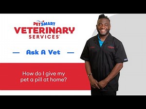 How to Give Your Dog a Pill | PetSmart Veterinary Services