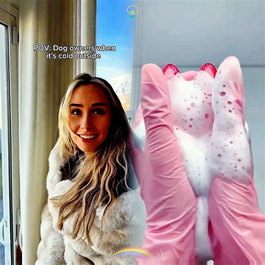 an age old battle #dogs #dogcomedy #dogowners