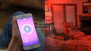 Watch Smart Light bulb works with Alexa on Amazon Live