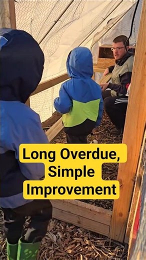 Fixing Our Chicken Roost with One 2x4! 🐔💪 #BackyardChickens #HomesteadDIY #ChickenCoop