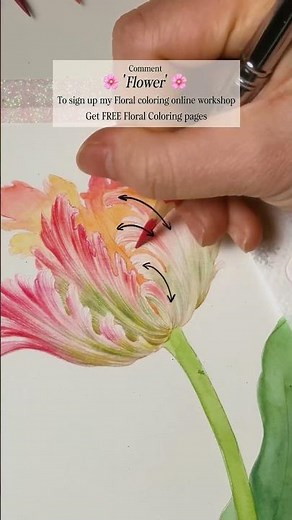 colored pencil flower botanical art