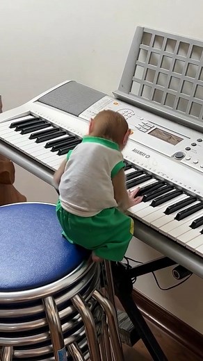 Bibi is a genius at playing the piano #monkeybibi #bibi | Bibi's Fan