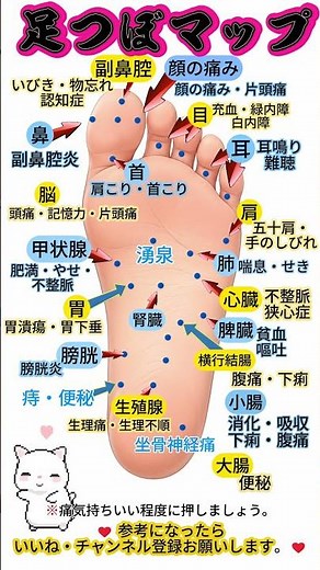 足つぼマップ｜症状別にわかる足つぼ反射区一覧 #占い #60歳代 #若い頃 #占い #60歳代 #若い頃 #40代ショート #ランキング #恋愛 #40代ショート #ランキング #恋愛
