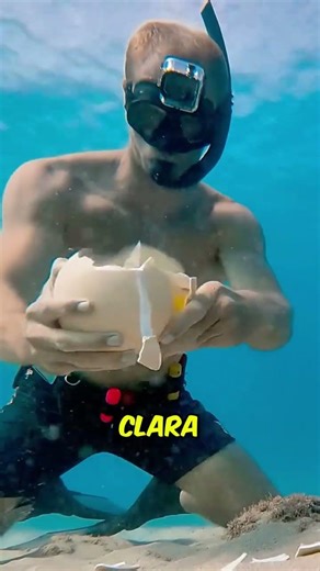 Isso Pode Acabar com Você 🥚