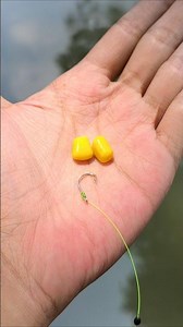 Fishing with corn bait 🌽 #tutorial #diy #gtknot #fishing #handmadelure #fishingtips #satisfying