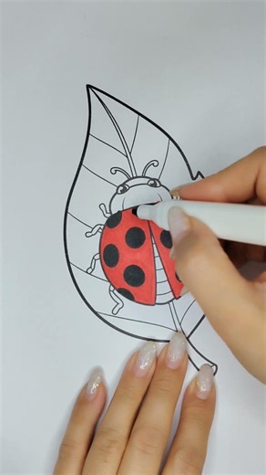 Colored a Ladybug 🐞 | Coloring Process | Easy & Beautiful Coloring