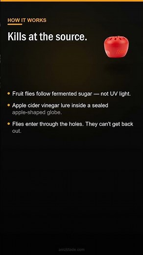 How to Get Rid of Fruit Flies Fast | What to Buy? TERRO Fruit Fly | 2026 Amazon Data