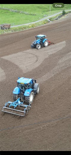 Explore Sheep Shepherding Techniques on YouTube