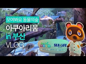 '동물의숲 아쿠아리움' 이번에는 부산에서! (모동숲 아쿠아리움 VLOG)