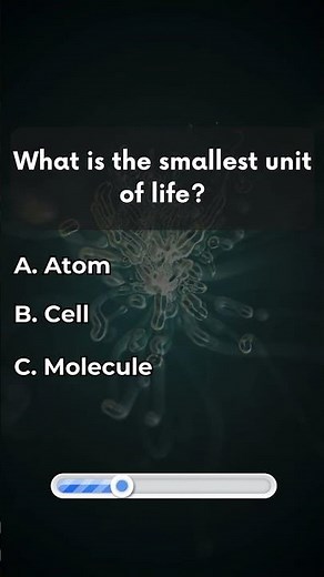 Are You a Trivia Buff? Try This Quiz 🤓