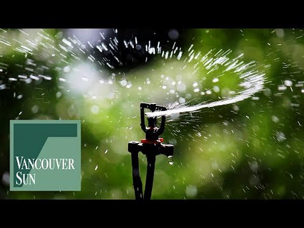 Watering restrictions to begin in Metro Vancouver as snowpack below normal