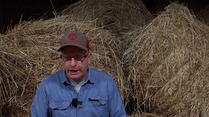 1.1K views · 24 reactions | #1 Farming SCAM - You MUST Cut Hay Everyone thinks to be a real farm you MUST cut and bale hay. We've ran the numbers and found out its all a big scam! | Sheraton Park Farms | Facebook