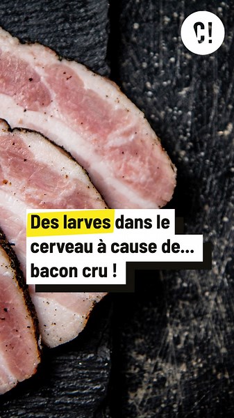 CurieuxLive on Instagram: "Une migraine à cause... d'un ver dans le cerveau ?! 🪱 Voilà une bonne raison de ne pas manger de viande crue... Marie de @laboiteacuriosites nous explique comment un homme s'est retrouvé avec un ver dans la tête après avoir mangé du bacon cru. Ce ver, c'était un taenia solium, responsable d'une neurocysticercose. #curieux #incurieuxwetrust #pourtoi #ténia #ver #parasite #alimentation #prévention #santé #épidémie #transmission #reels"