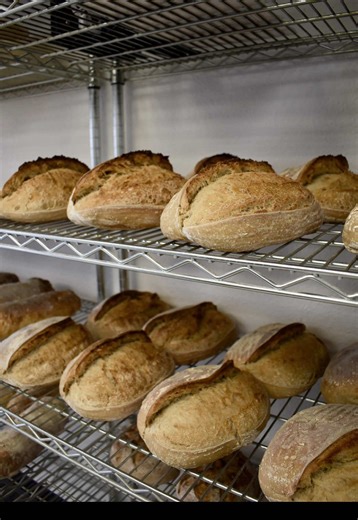 Mastering Sourdough: Shape the Perfect Oval Loaf