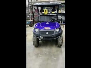 Bighorn Gas Golf Cart