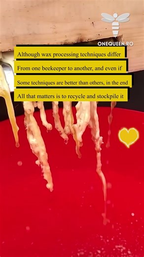 Although wax processing techniques differ from one beekeeper to another, and even if some techniques