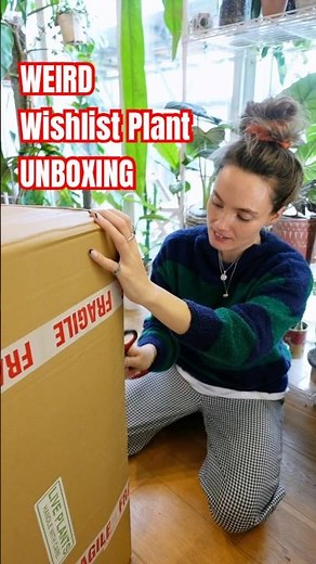 So thrilled with these plants! 🌿 #houseplants #unboxing #plants #plantparent #anthurium #rareplants