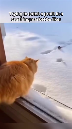 Trade with Confidence: Bitget Universal Exchange Guide