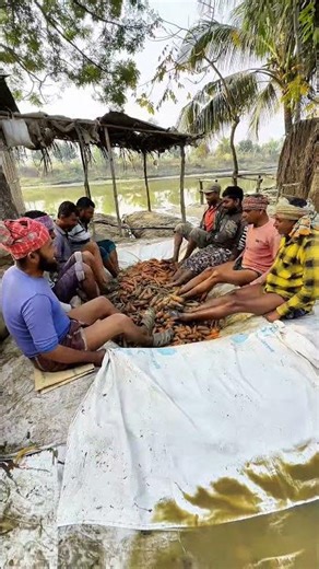 Amazing Carrot Cleaning Process 🥕✨