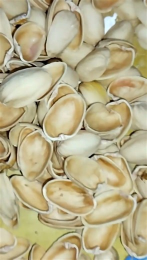 Pistachio Shell Craft ~ wall decor 🎨 #art #craft #pista #painting #wallhanging #trending #shorts